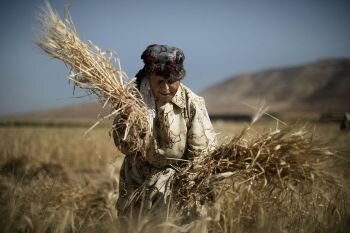 Joint GFAR/GAP-WFO Parallel Event: Empowering Rural Women Through Agricultural Innovation - Image